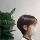 헤어101 이미지