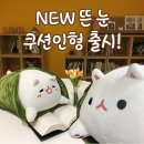 코코캣 이미지