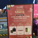 가나월드 | 잠실 롯데월드몰 팝업, 프리미엄 가나 초콜릿 구입후기