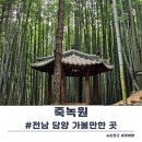 쉴만한 맑은물가 | 전남 담양 가볼만한 곳 죽녹원 (입장료,개방시간,족욕체험)