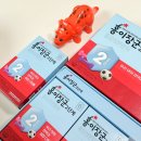 홍이건강기능식품 | 정관장 홍이장군 2단계로 환절기 면역력 키우기 두달 섭취 후기