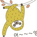 서병장 부대찌개 이미지