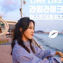 라임라이크 (LIME LIKE)