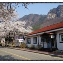 홍실민박 이미지