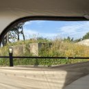 월등도캠핑장 이미지