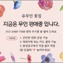 소담꽃 - 서초구 논현로13길 11 | 소담꽃