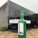 표선면하천리화석박물관 4 | 제주 비올 때 실내관광지 추천, 세계 술 박물관