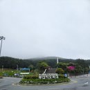 하리공원 앞 | 부산 영도 가볼만한곳 [태종대] 유원지 &amp; 하리 [산호횟집] 이용후기