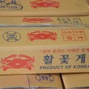 신진도pc 이미지