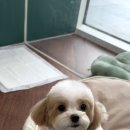 동그라미동물의료센터