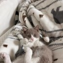 센텀온누리약국 이미지