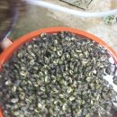 펜션델리앙 이미지