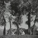 국립현대미술관(덕수궁관) 이미지