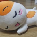 토이 뽑기랜드 이미지