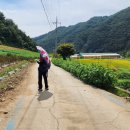 사천교 - 평창군 | 사천교