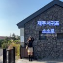 소소희 | 제주 서귀포 감성 숙소 추천 소소로 독채펜션 소소희방 후기
