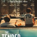TENDER(텐더) 이미지