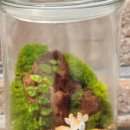 외삼초등학교(병설) 이미지