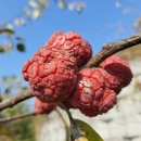 오원농장 이미지