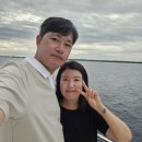 8월 극성수기 보홀 자유여행 3박 5일 총정리