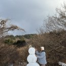 즈음 | 제주 한경면 청수리 펜션 과하지 않은 인테리어 비마이아일