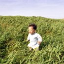 똘똘이 목장 이미지