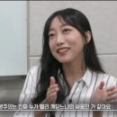 동학개미티브이 이미지