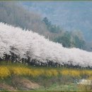 오산10리 이미지