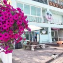 양양팜서프 이미지