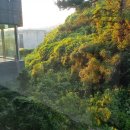 베이힐 풀 앤 빌라(BAYHILL POOL & VILLA 이미지