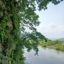 농협성주군지부 | 고향친구 모임, 회연서원 둘러보기