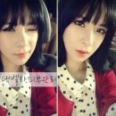 노시현 카카오 검색결과