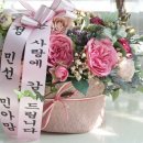 제이아리 이미지