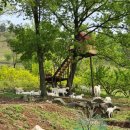 해원목장 이미지