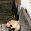 복권목장 이미지