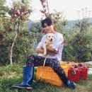 신기 P.S 이미지