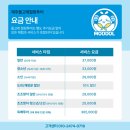 제주돌고래힐링투어