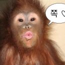 넬미용실 네이버블로그