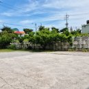 신덕산주유소 이미지