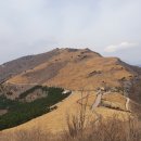 영남애드 이미지