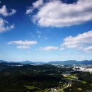울동네 Daum카페
