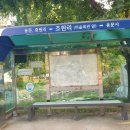 부릉개 이미지