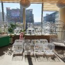 앵무새카페플레이버드 - 무안군 대죽동로16번길 22 | 앵무새카페플레이버드