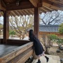 경주 최부자 댁 그리고 교동 법주 / 카페 이스트 1779 / 월정교
