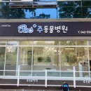 주동물병원 이미지