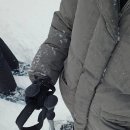[노르웨이] 트롬쇠 스노우슈잉 투어 후기 및 가격