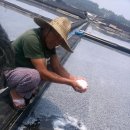 증산-010 이미지