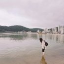 칠암대양횟집