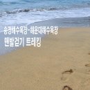 해운대해수욕장 1호 이미지