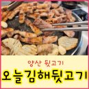 뒷고기 - 용인시 기흥구 흥덕2로75번길 30 | 뒷고기